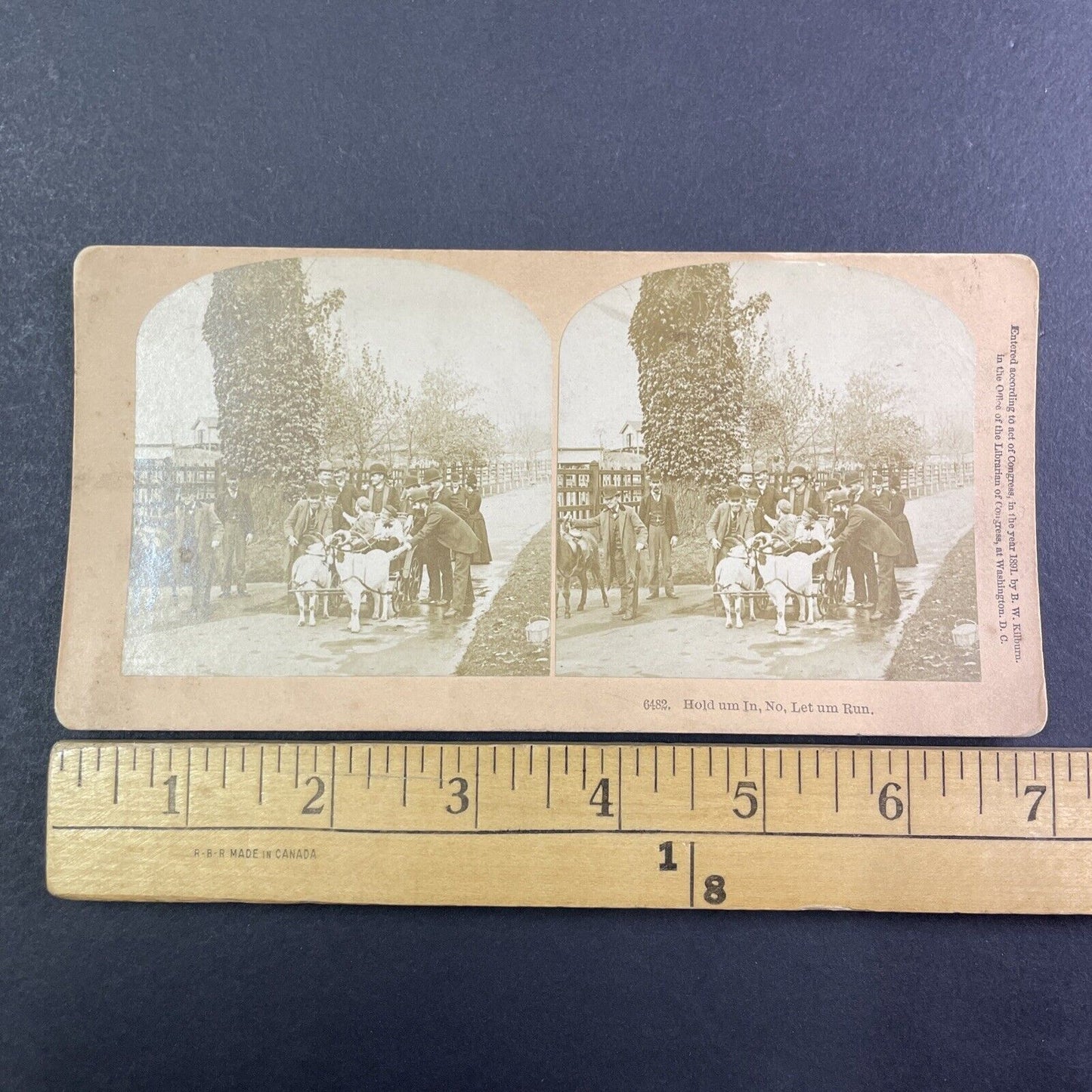 Goat Driven Carriage Enters a Village Stereoview Antique c1891 Y1382