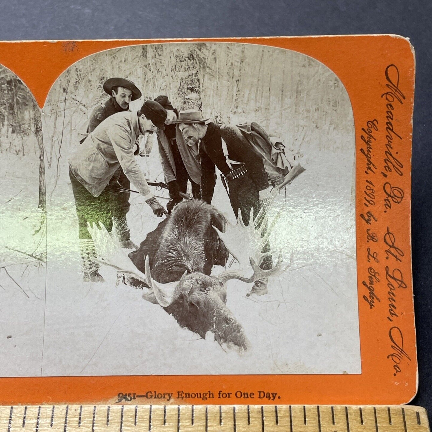 Antique 1898 Hunters Kill Moose Presque Isle Maine Stereoview Photo Card P2293