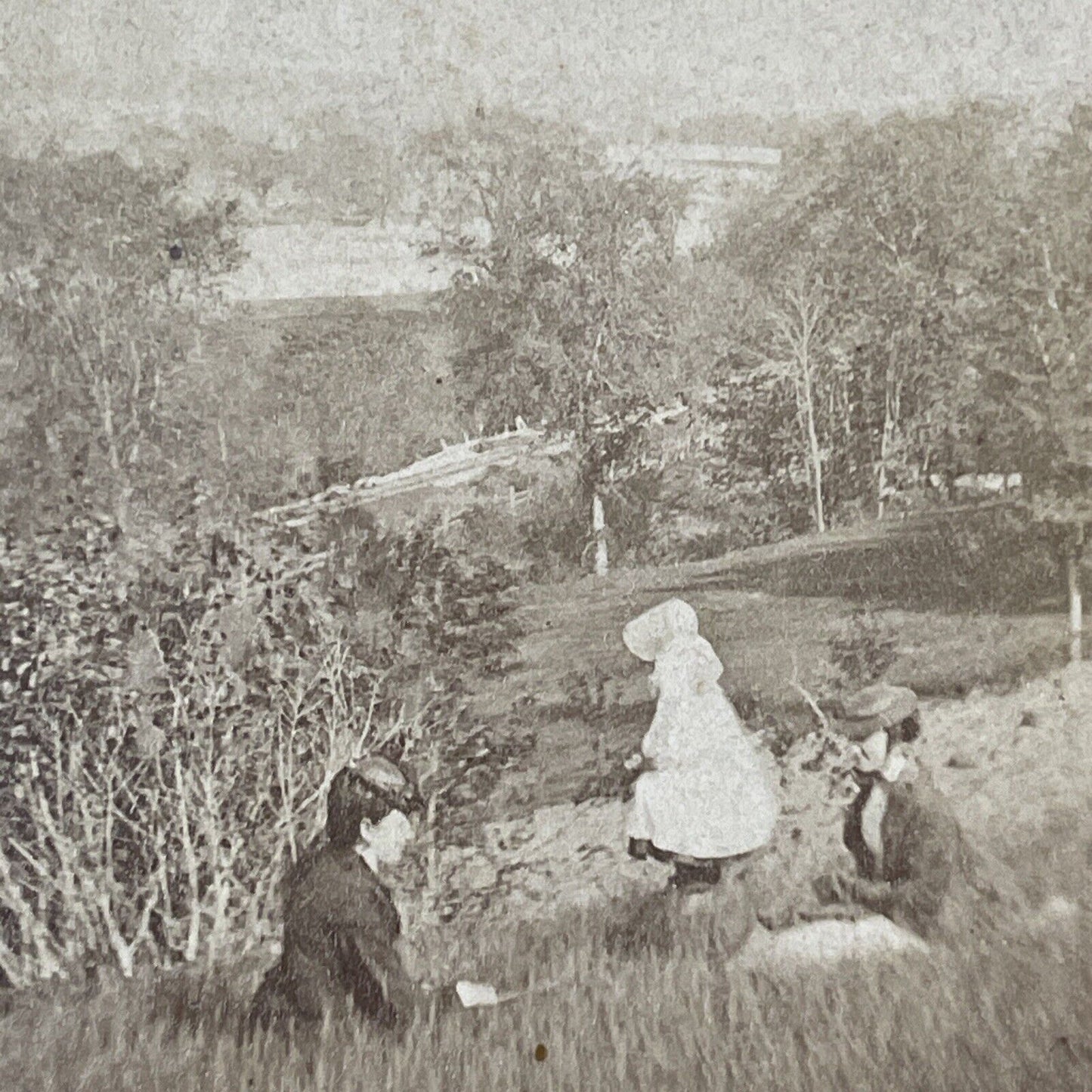 Women Picnic In Boscawen NH Stereoview MC Harriman Antique c1875 X1219