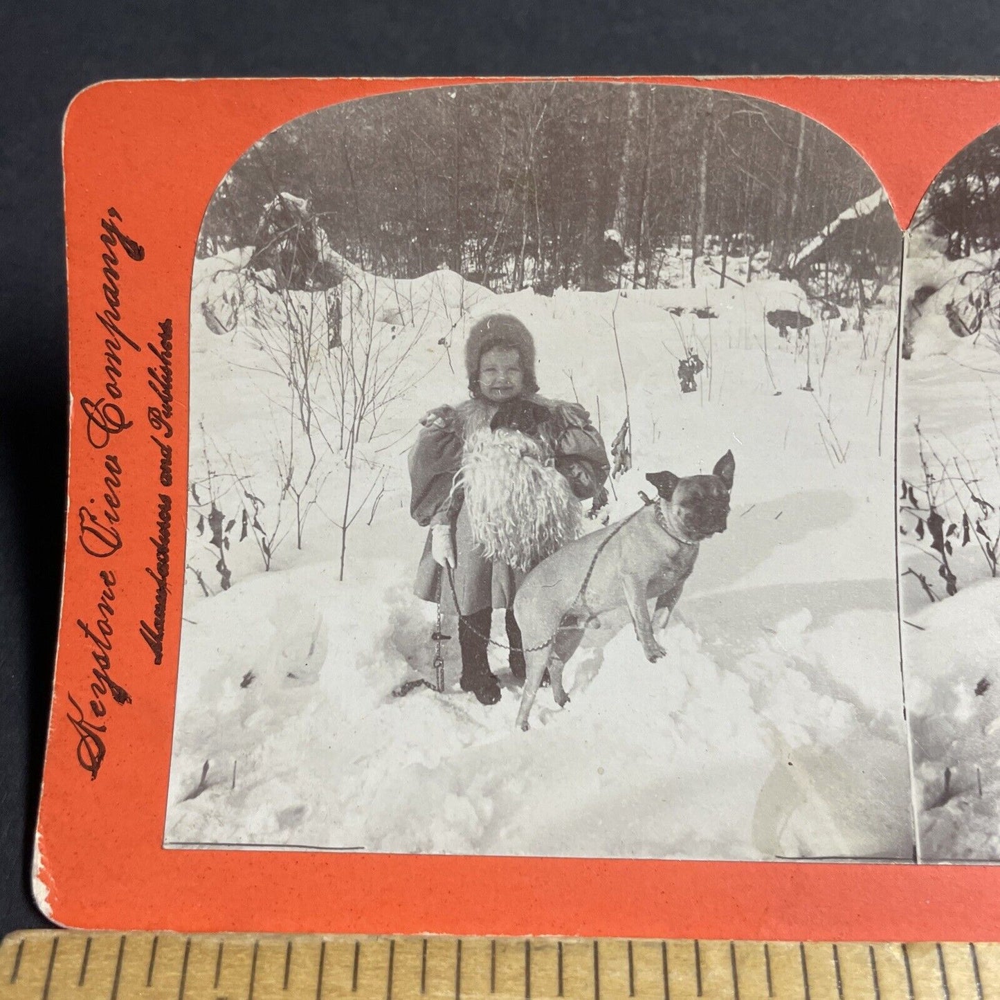 Antique 1898 Young Girl With Pug Dog In Deep Snow Stereoview Photo Card P4076