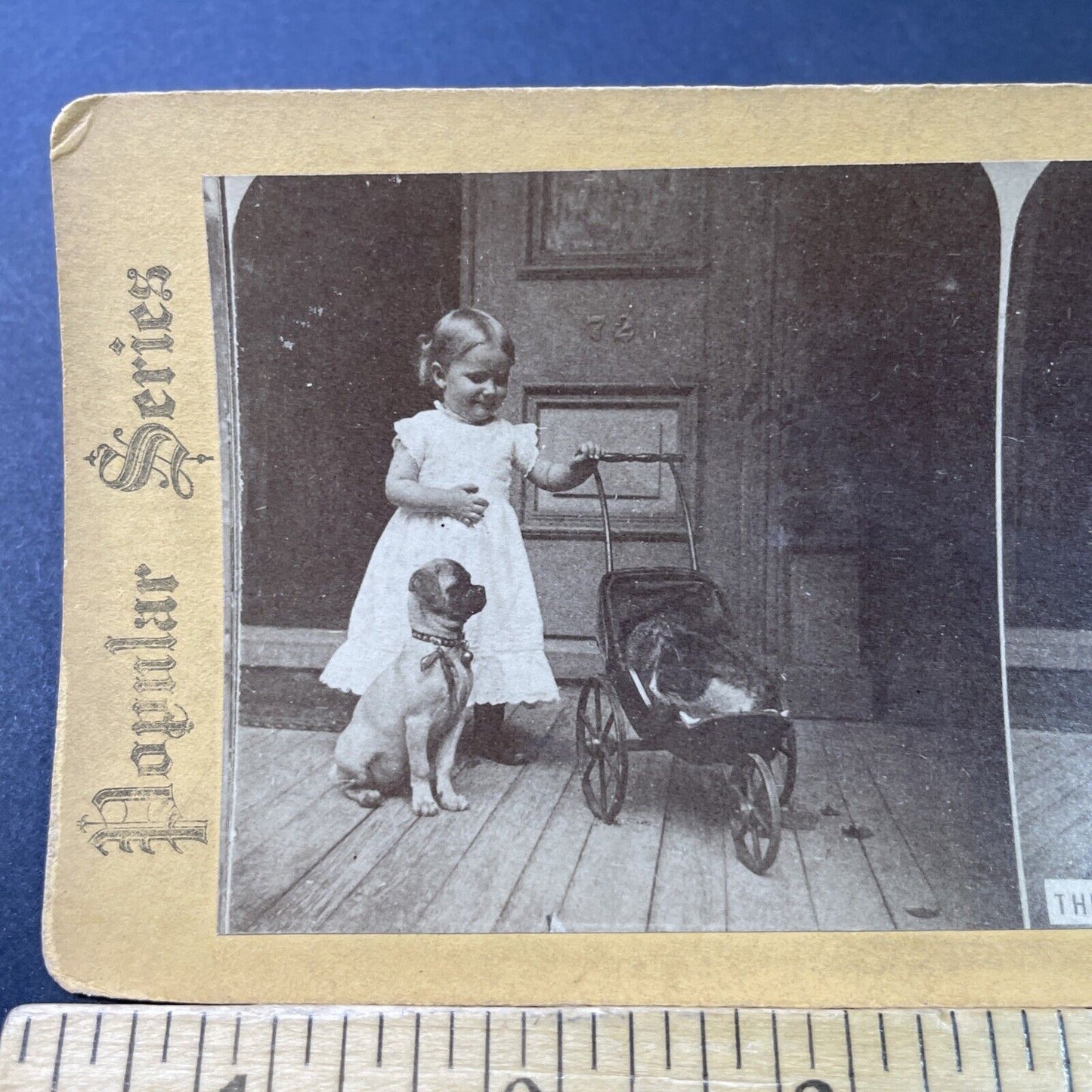 Antique 1880s Young Girl With A Cat In Baby Buggy Stereoview Photo Card P2877