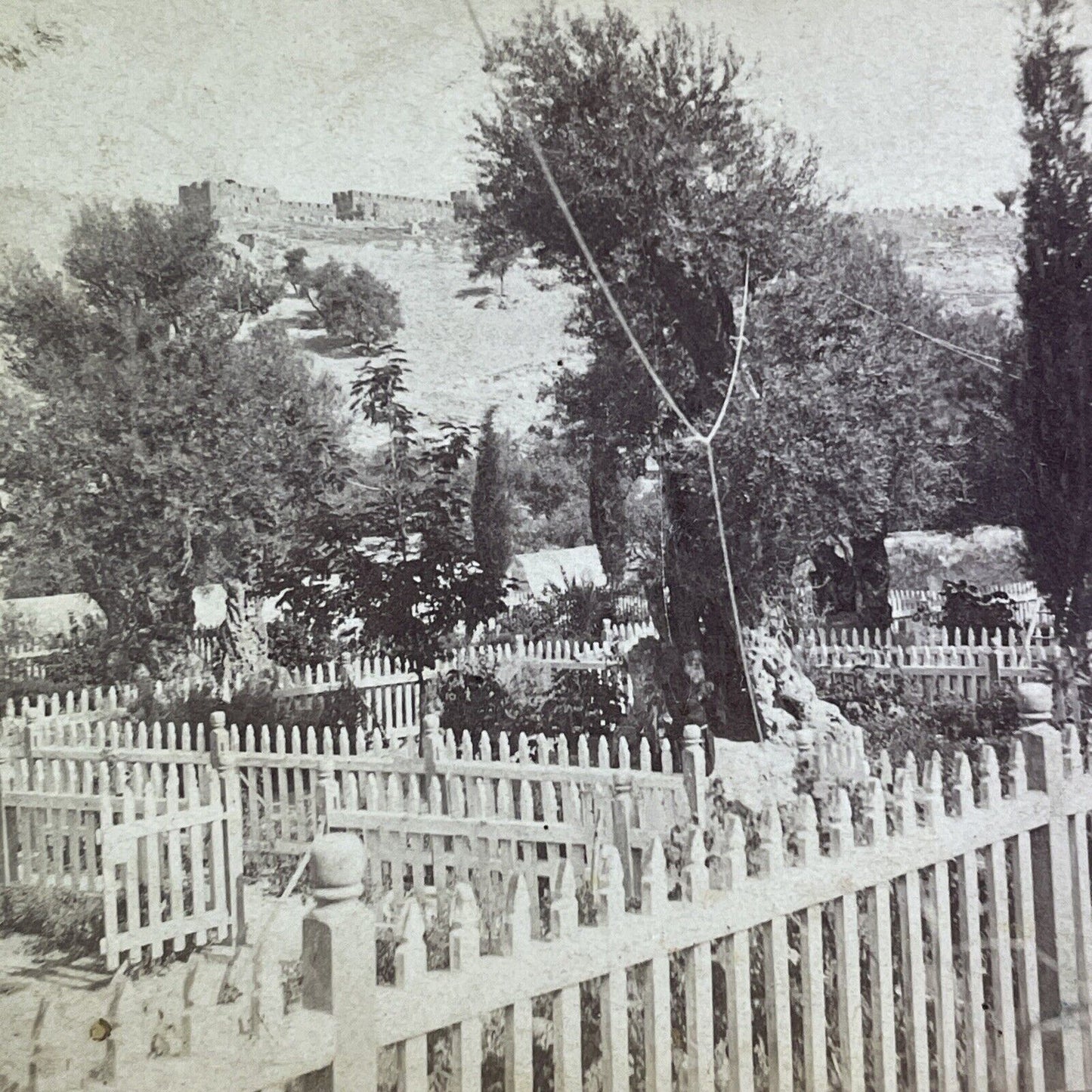 Gethsemane Jerusalem Garden Of Olives Stereoview Antique c1865 X1621