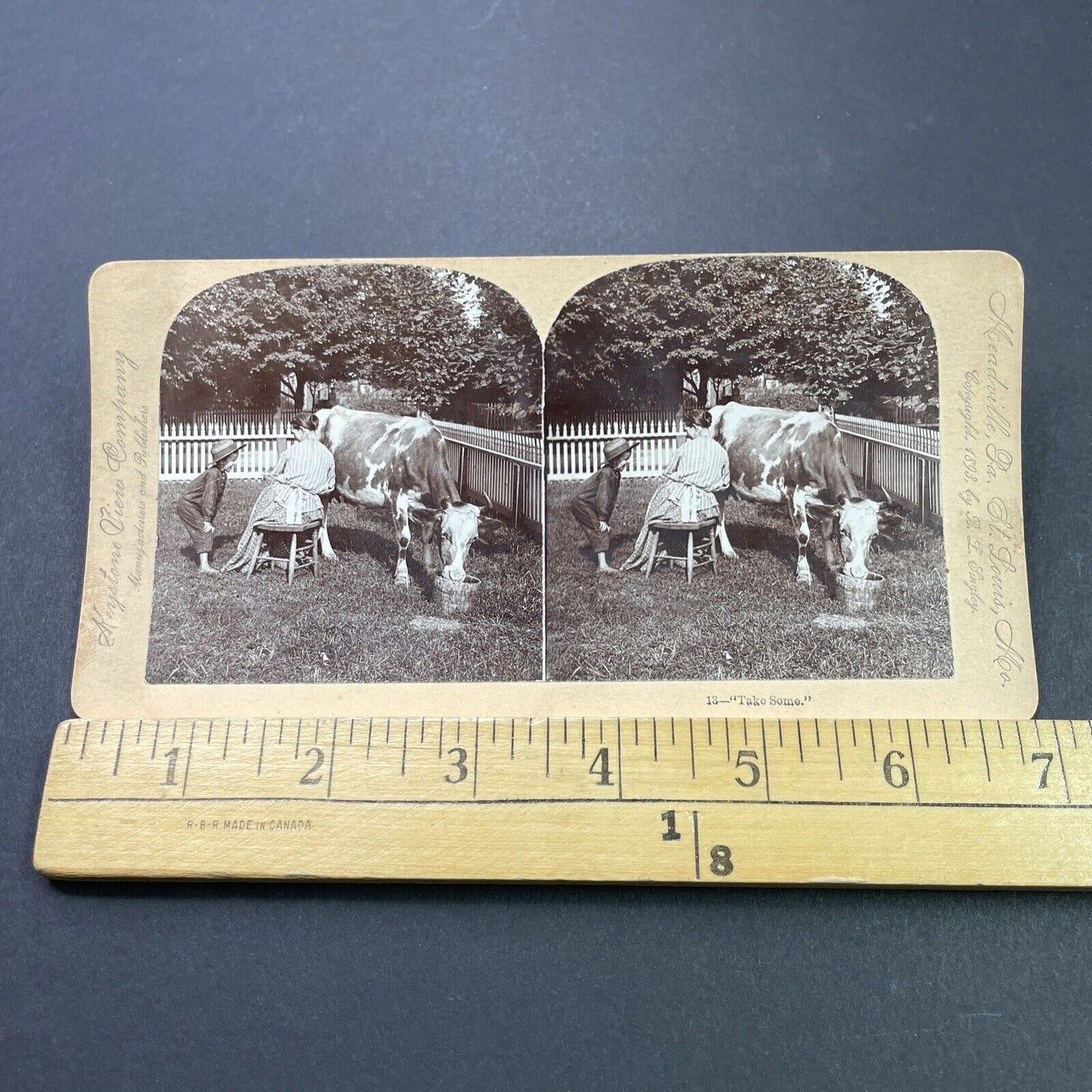 Antique 1893 Woman Squirts Milk Onto Boy's Face Stereoview Photo Card P3121