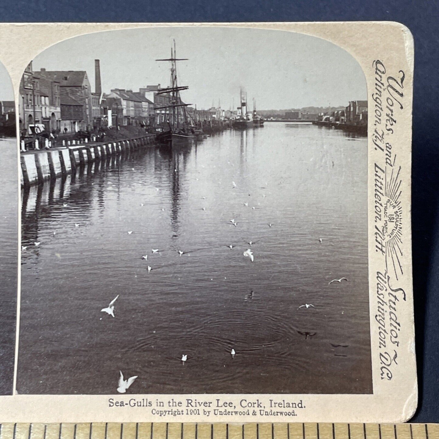 Antique 1901 City Of Cork Ireland Port View Stereoview Photo Card V3205