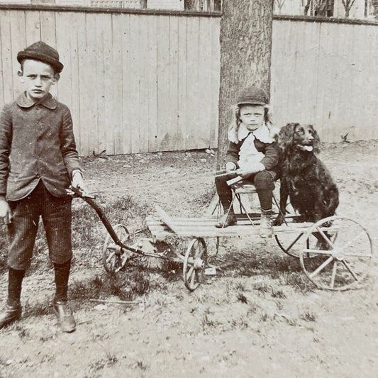 Antique 1870s Boy Pulling A Dog On A Cart Stereoview Photo Card P4043