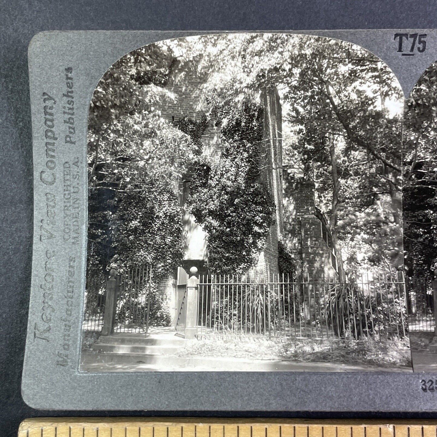 The Colonial Church Overgrown Jamestown Virginia Stereoview Antique c1920sY1159