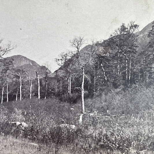 Antique 1860s Franconia Notch New Hampshire Stereoview Photo Card P1192