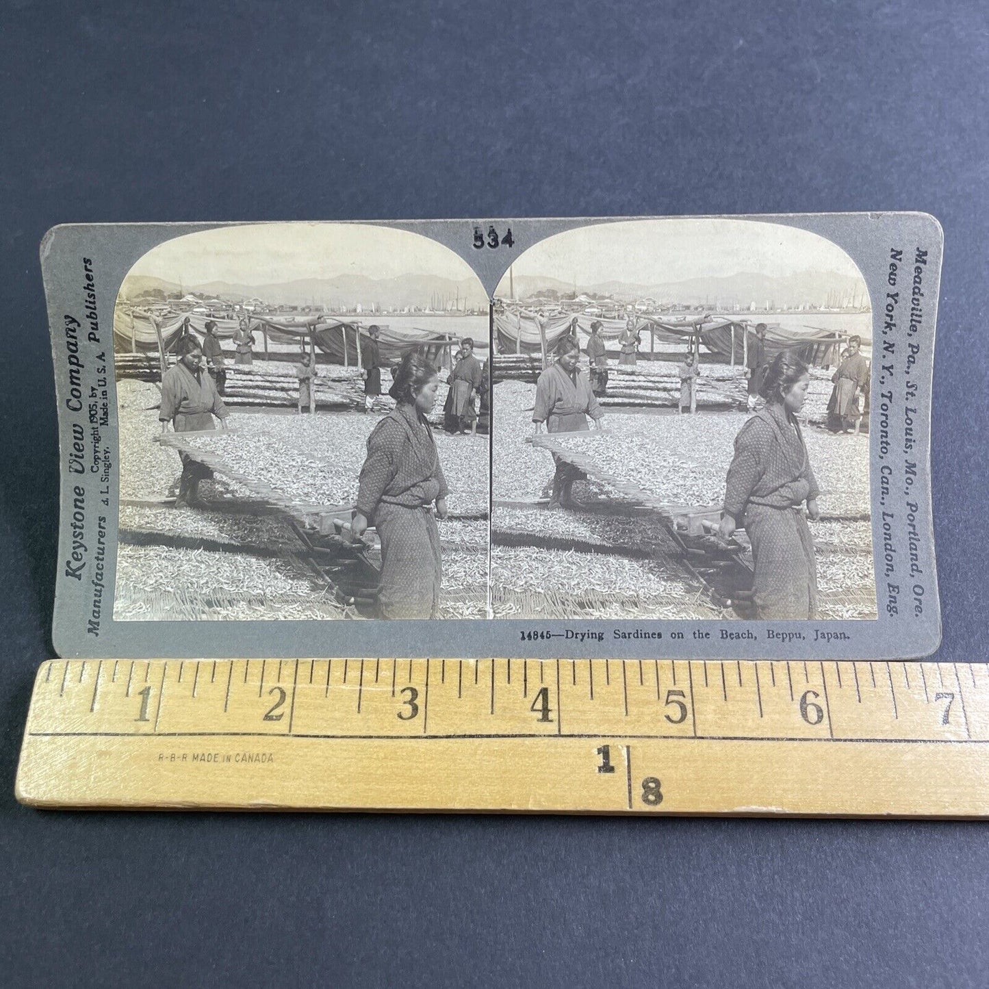 Antique 1905 Millions Of Sardines Beppu Japan Stereoview Photo Card P2115