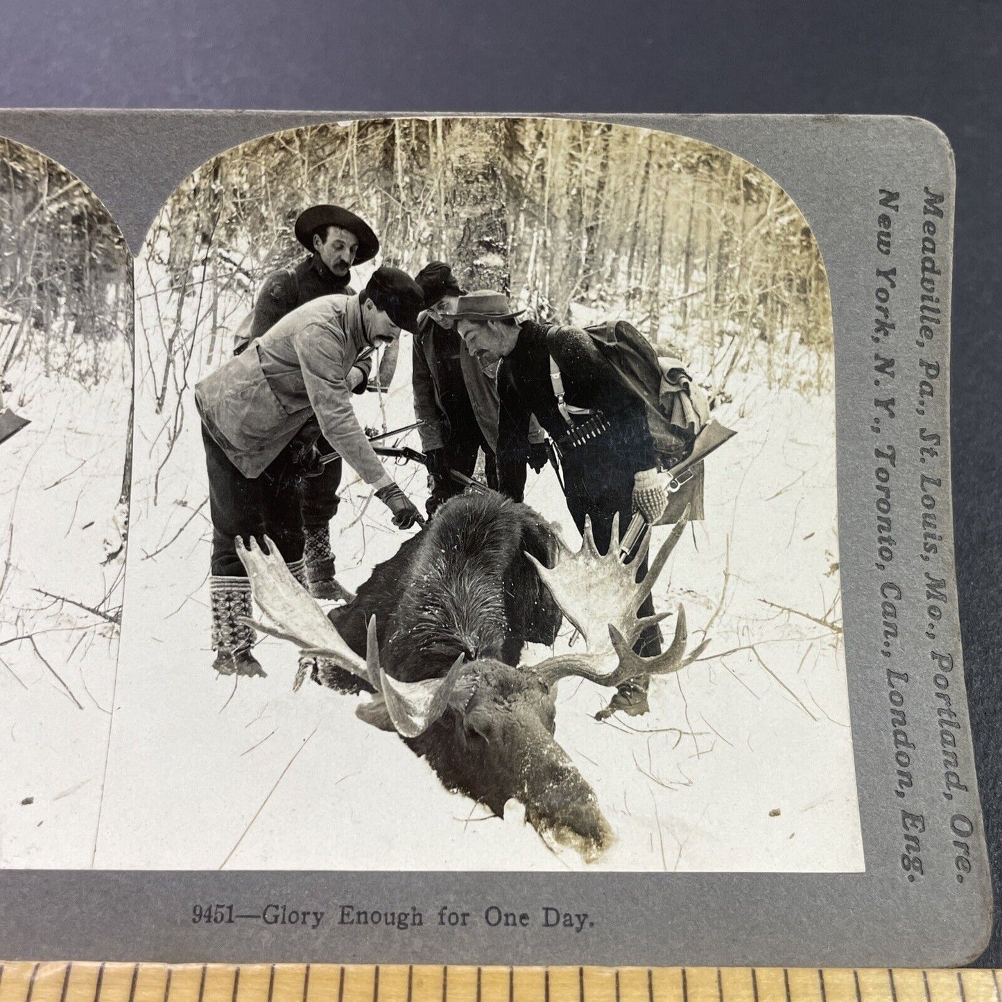 Antique 1899 Moose Hunting In Presque Isle Maine Stereoview Photo Card P3765