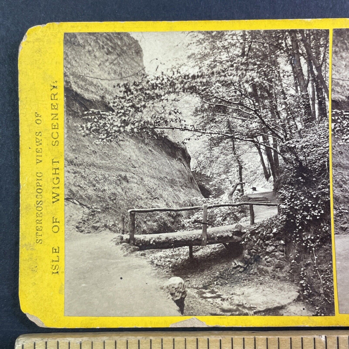 Shanklin Chine Isle Of Wight England Stereoview UK Antique c1870 X3673