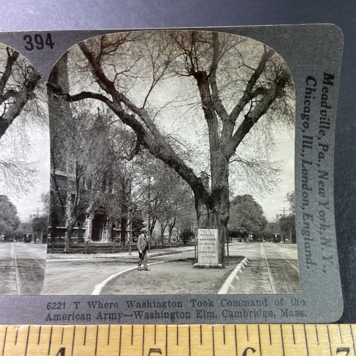 Antique 1925 Washingtons Elm Tree Cambridge Mass Stereoview Photo Card P3290