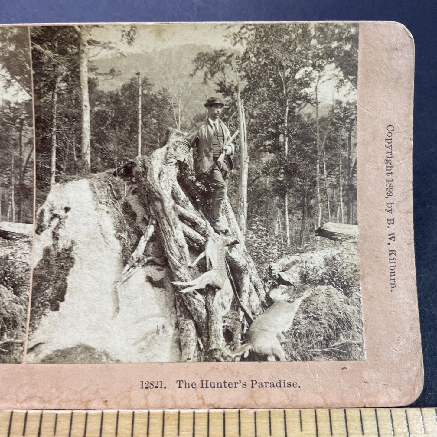 Antique 1899 Man Shoots Deer From Rock Blind Stereoview Photo Card P3510