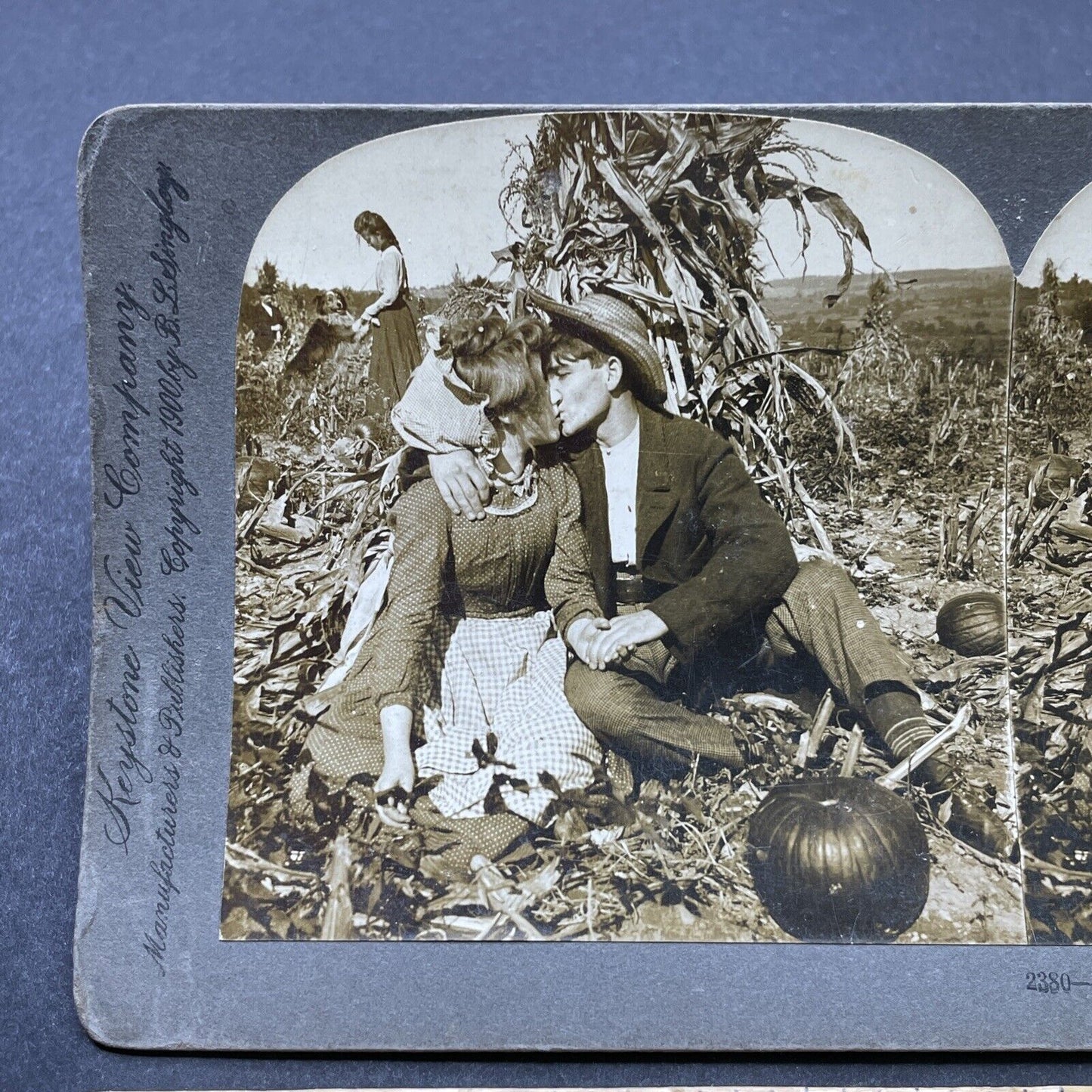 Antique 1900 Two Young Lovers Kiss In Pumpkin Patch Stereoview Photo Card P2602