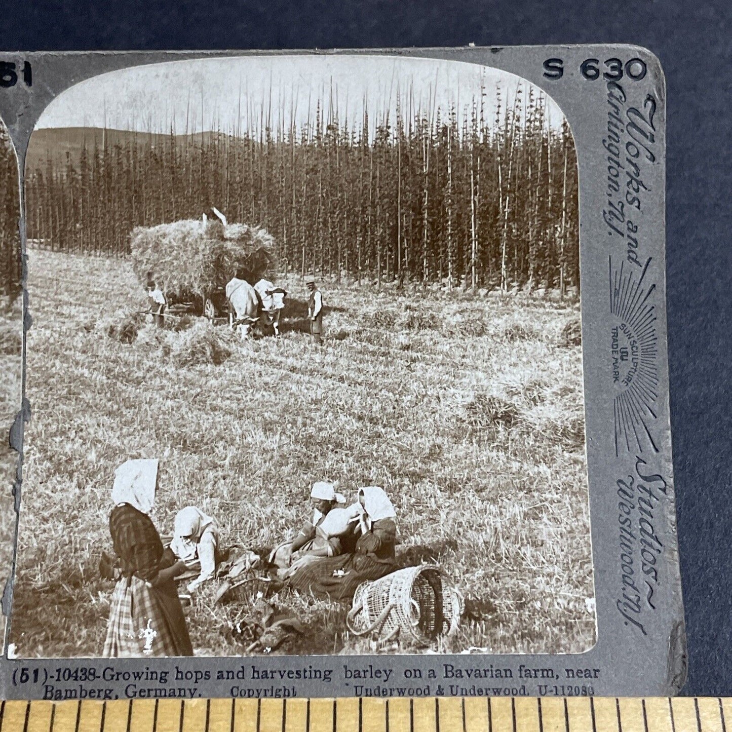 Antique 1900 Traditional Bavarian Women Farmers Stereoview Photo Card P4471