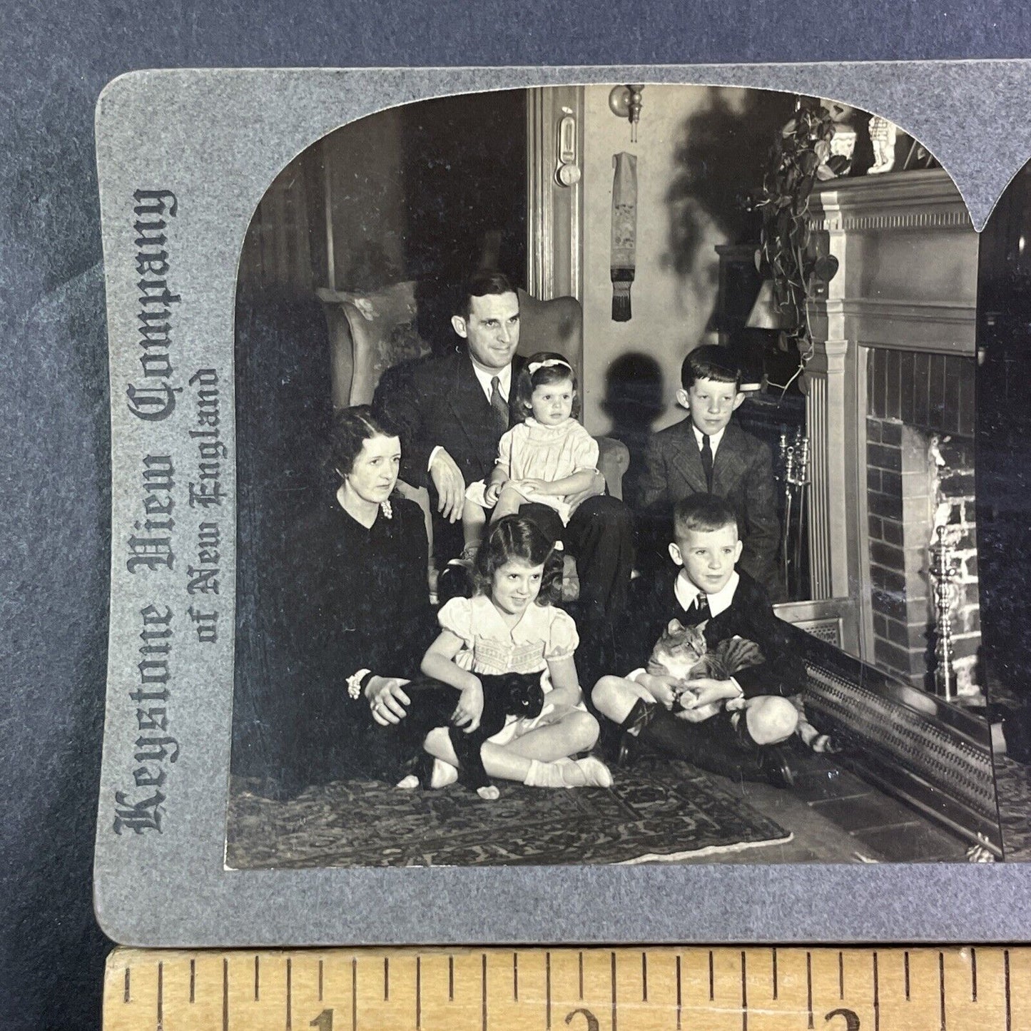 Dr Paul Sanderson & Family Stereoview Springfield MA OOAK Antique c1933 X1555