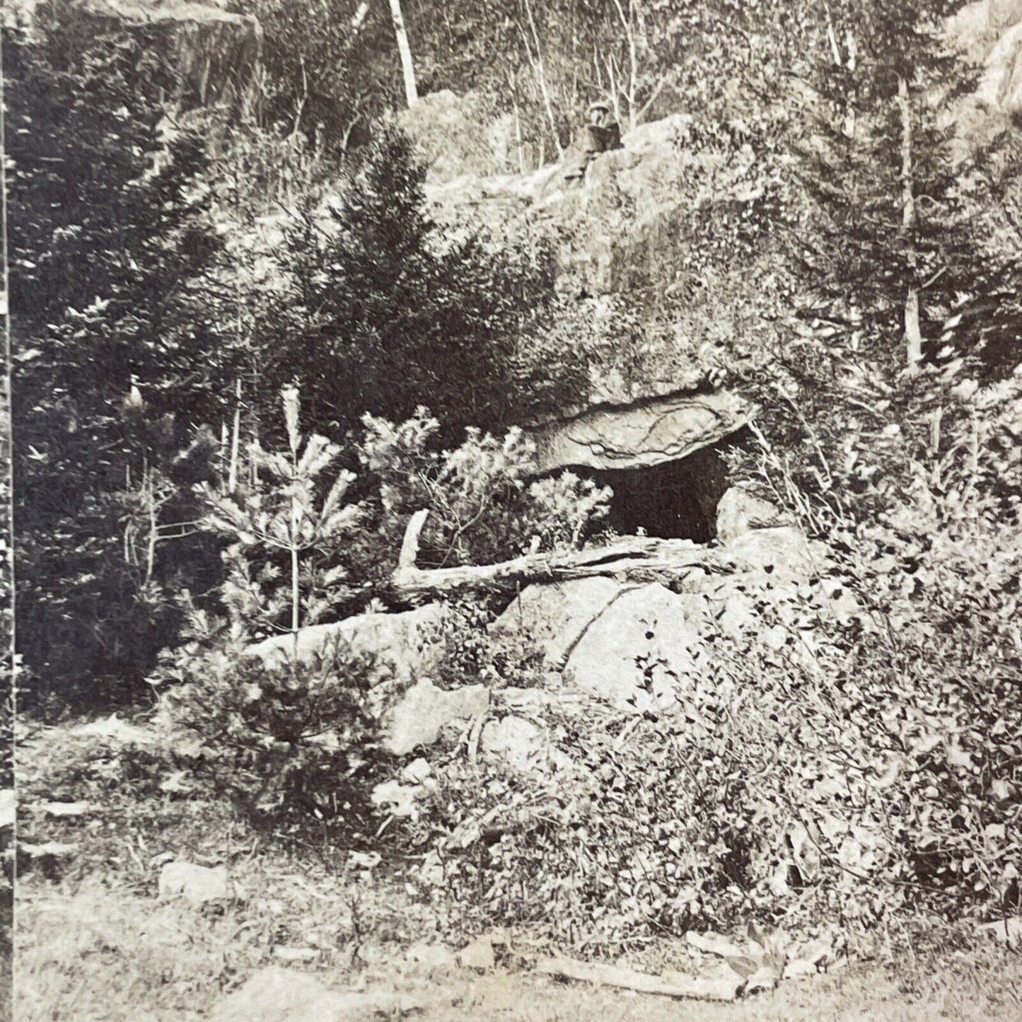 The Devil's Den Hart's Ledge Conway New Hampshire Stereoview Antique c1870s Y176