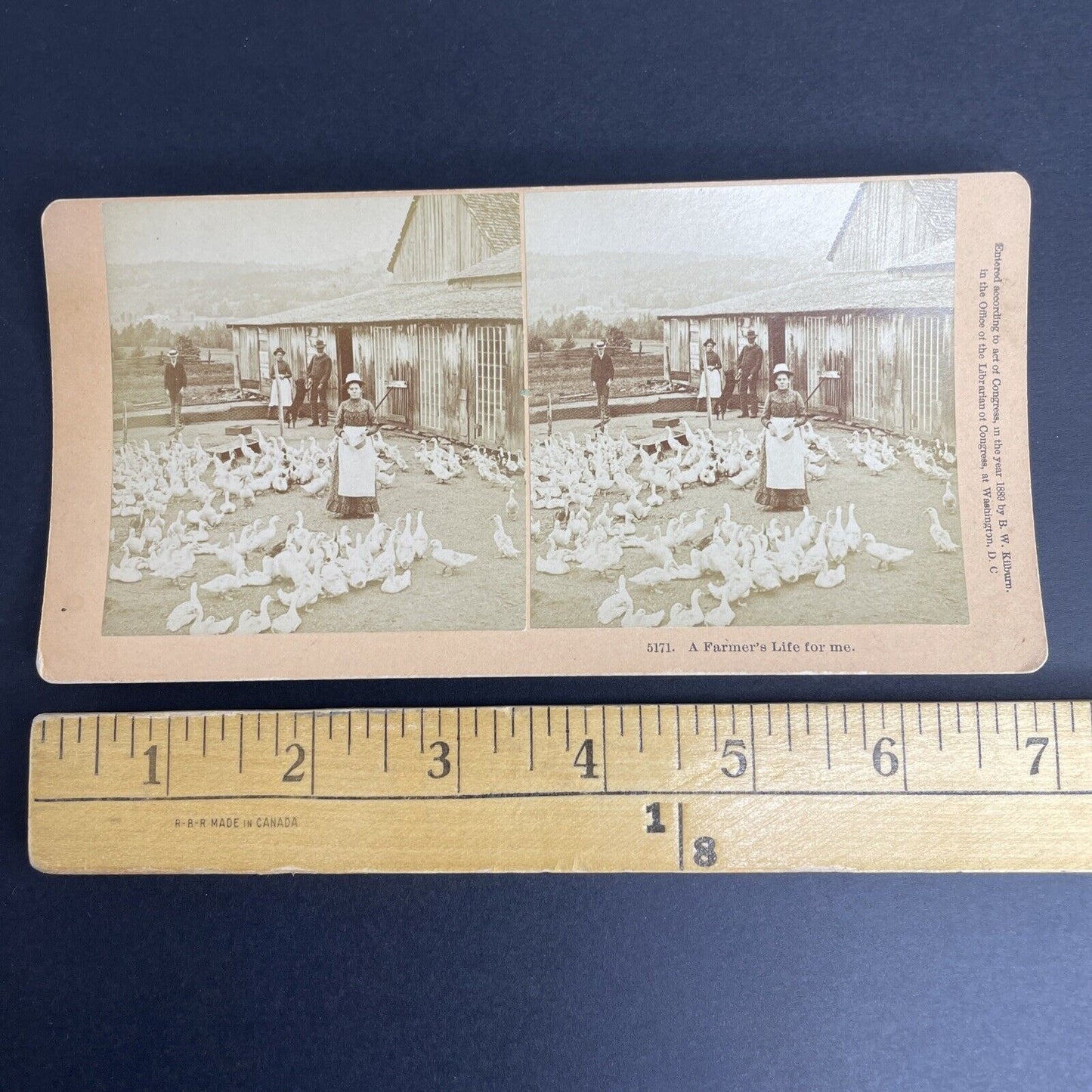 Antique 1889 Littleton New Hampshire Goose Farm Stereoview Photo Card PC780