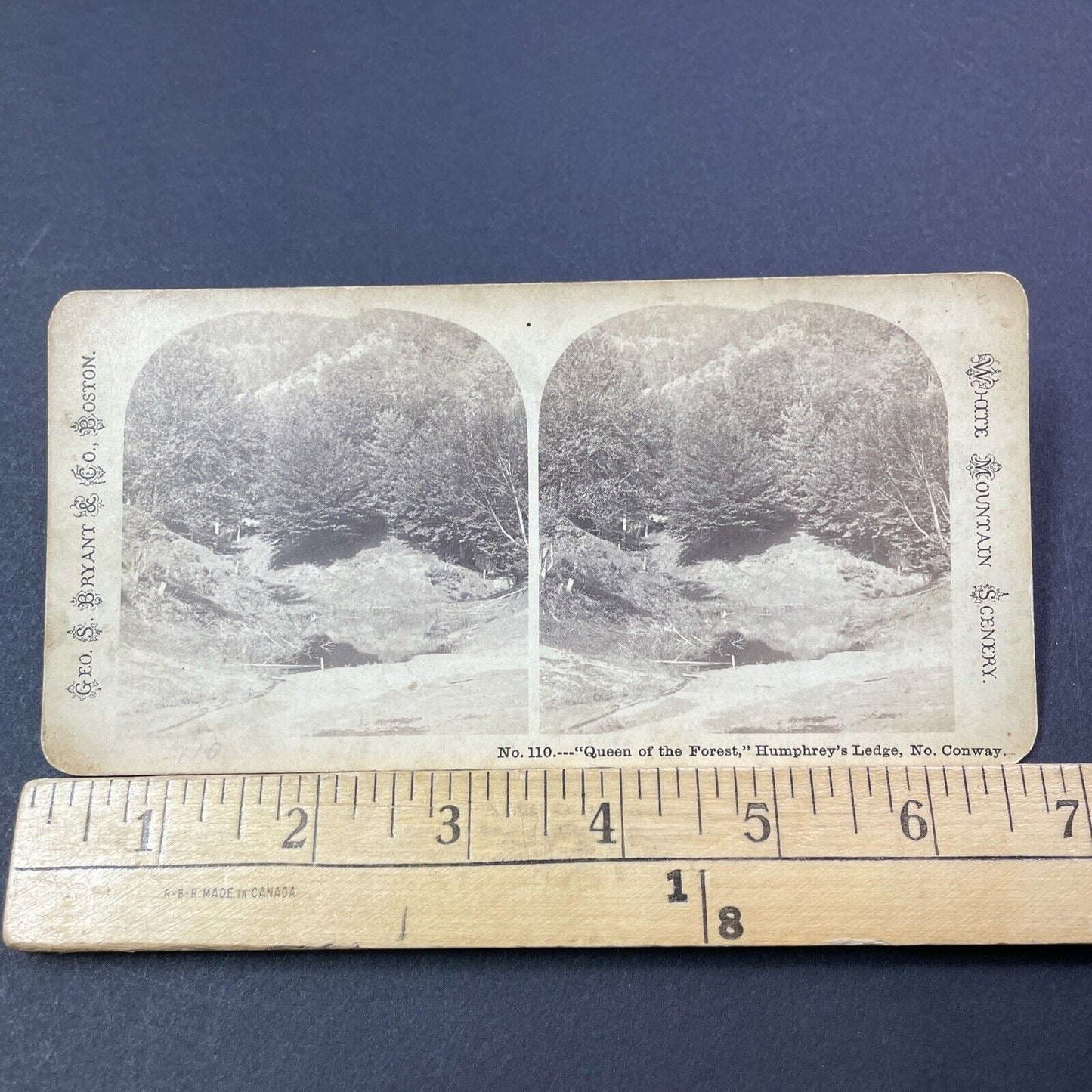 Antique 1870s Humphrey's Ledge North Conway NH Stereoview Photo Card V1777