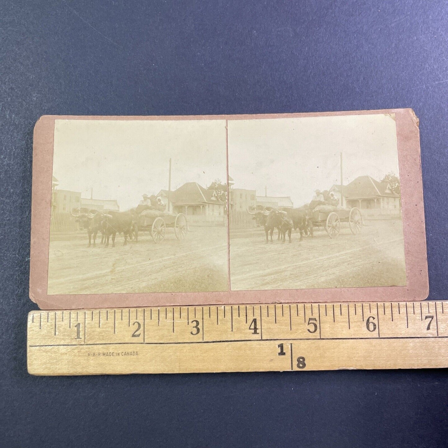 African American Settlers In Ox Wagon Stereoview Antique c1890 X1809