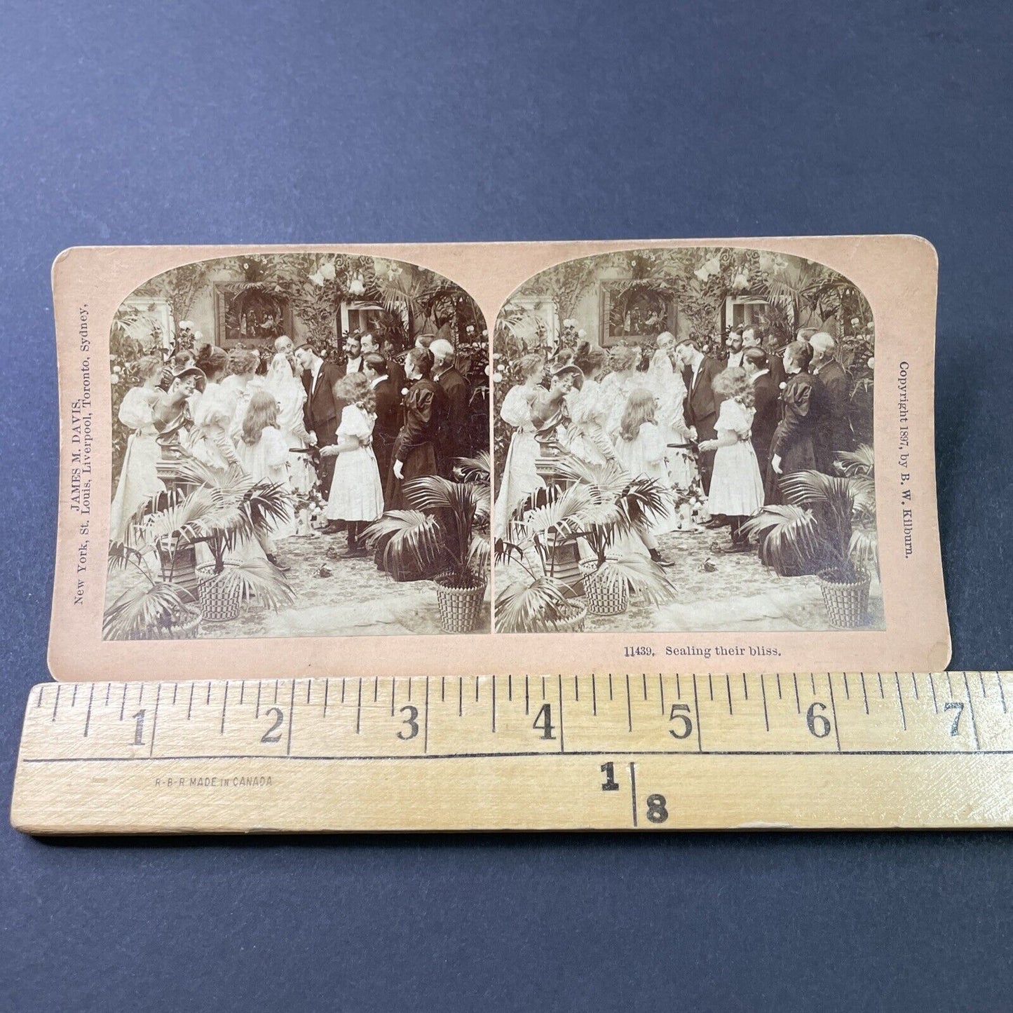 Antique 1897 Bride And Groom Share Wedding Kiss Stereoview Photo Card P2864