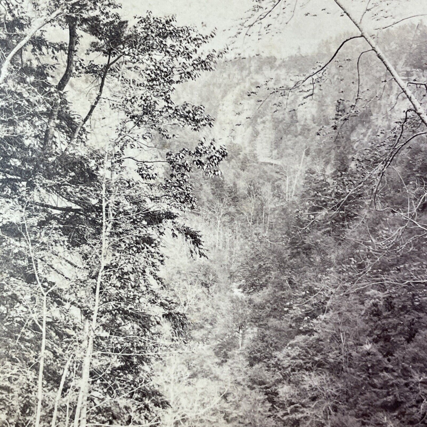 Taughannock Ravine Ithaca New York Stereoview E&HT Anthony Antique c1870 X3640