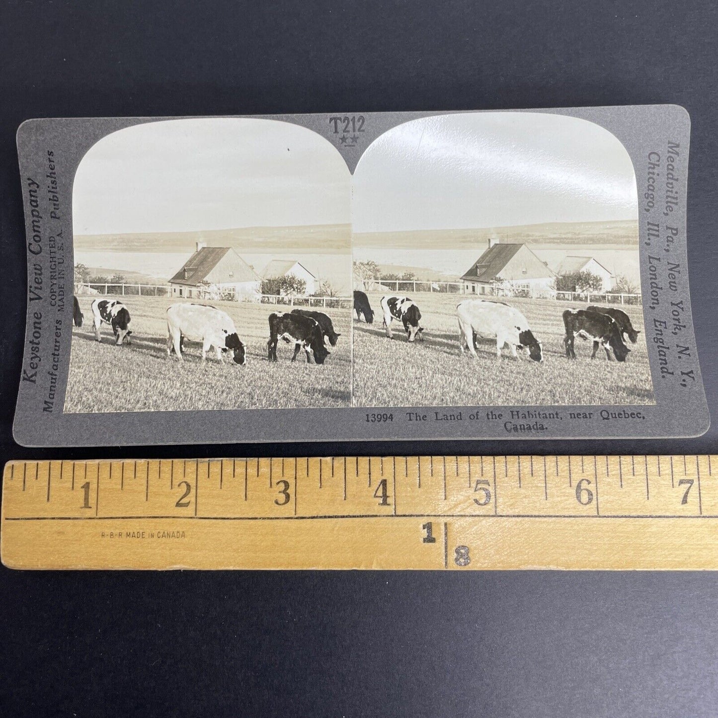 Antique 1905 Quebec Dairy Farm On St. Lawrence Stereoview Photo Card PC853