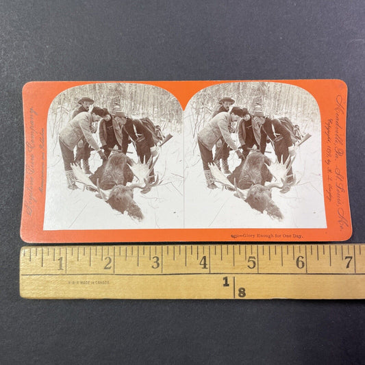 Men Hunt and Kill a Moose in Northern Maine Stereoview Antique c1899 Y1808