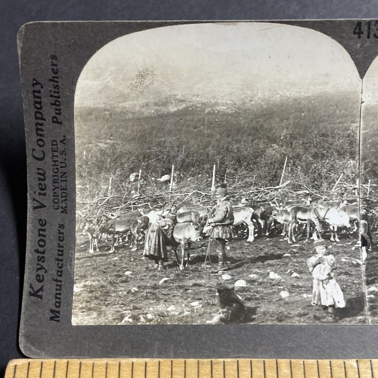 Antique 1910s Lapland Natives Milk A Reindeer Norway Stereoview Photo Card P5067