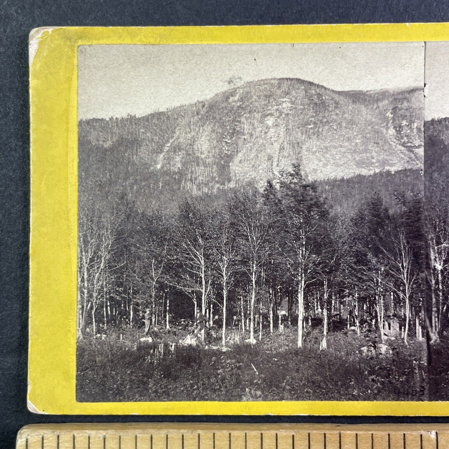 Cannon Mountain New Hampshire Stereoview E&HT Anthony Antique c1868 X3654