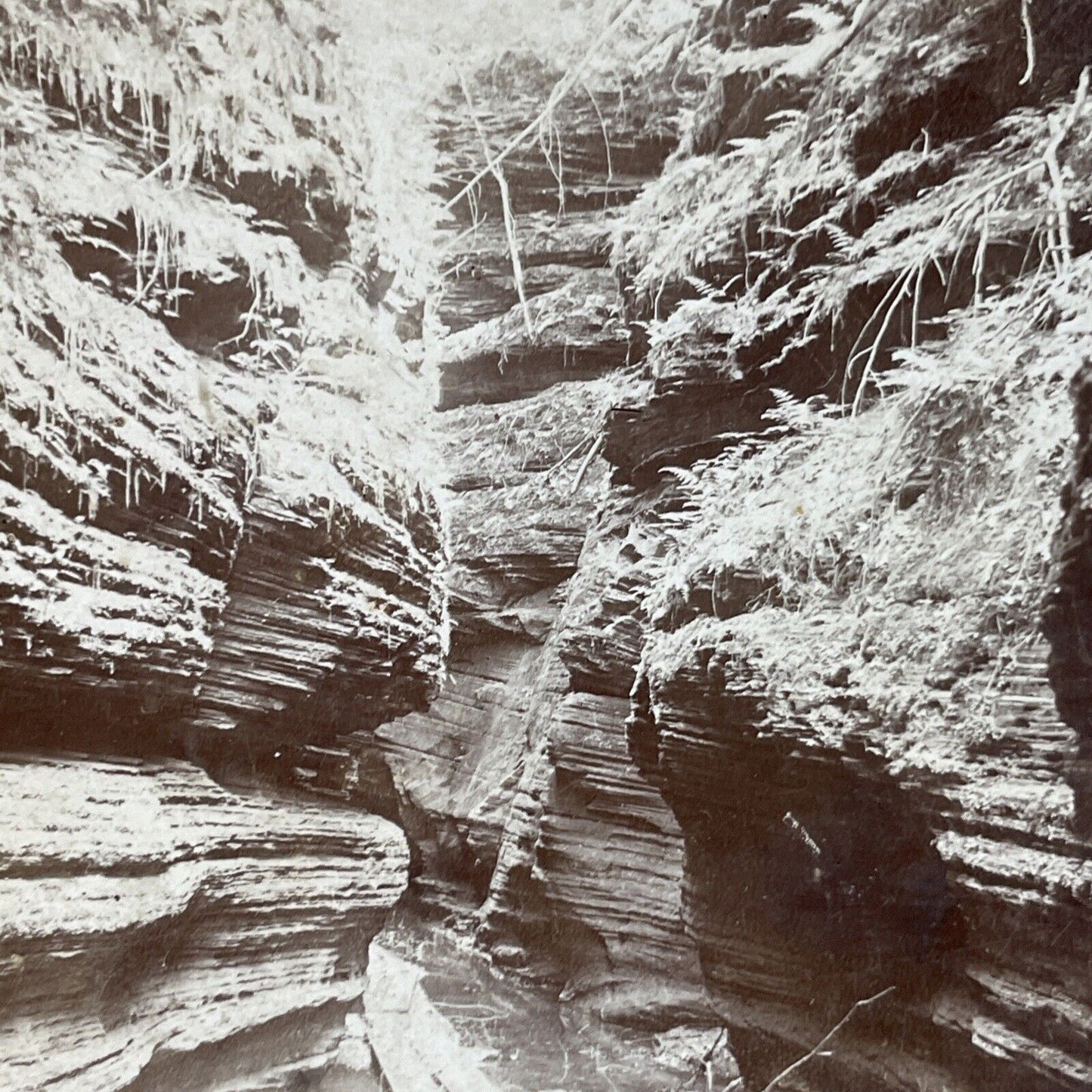 Antique 1899 Wisconsin Dells Canyon Gorge Stereoview Photo Card P3804