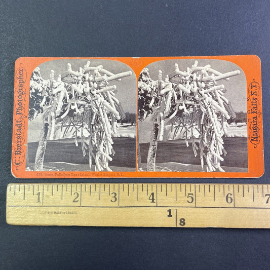 Frozen Tree on the Niagara River Stereoview Charles Bierstadt c1870s Y2218