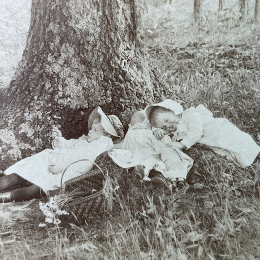 Antique 1890s Babies & Children Fall Asleep In Woods Stereoview Photo Card P3349