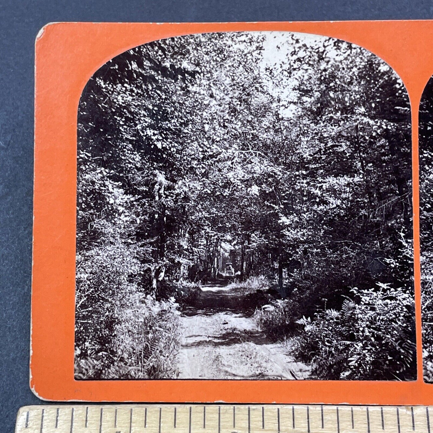 Antique 1878 Silent Way Keene New Hampshire Stereoview Photo Card V2083