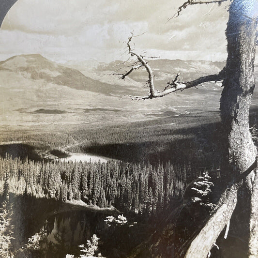 Antique 1904 Lake Louise Alberta Canada Stereoview Photo Card PC854