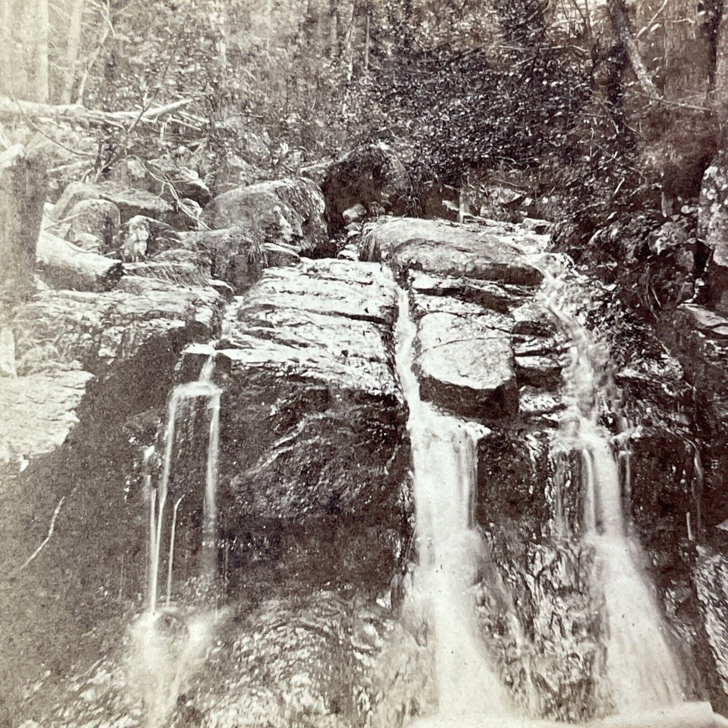 Artist's Falls Mt Willey NH Stereoview JH Dupee Photo Card Antique c1869 X863