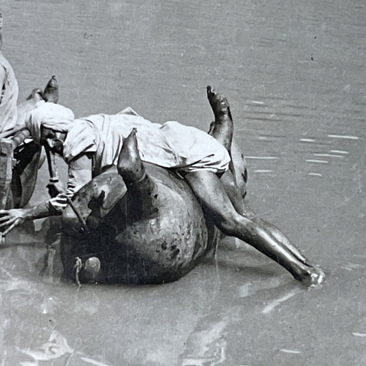 Antique 1910s People Using Dead Cows As Boats India Stereoview Photo Card P3698