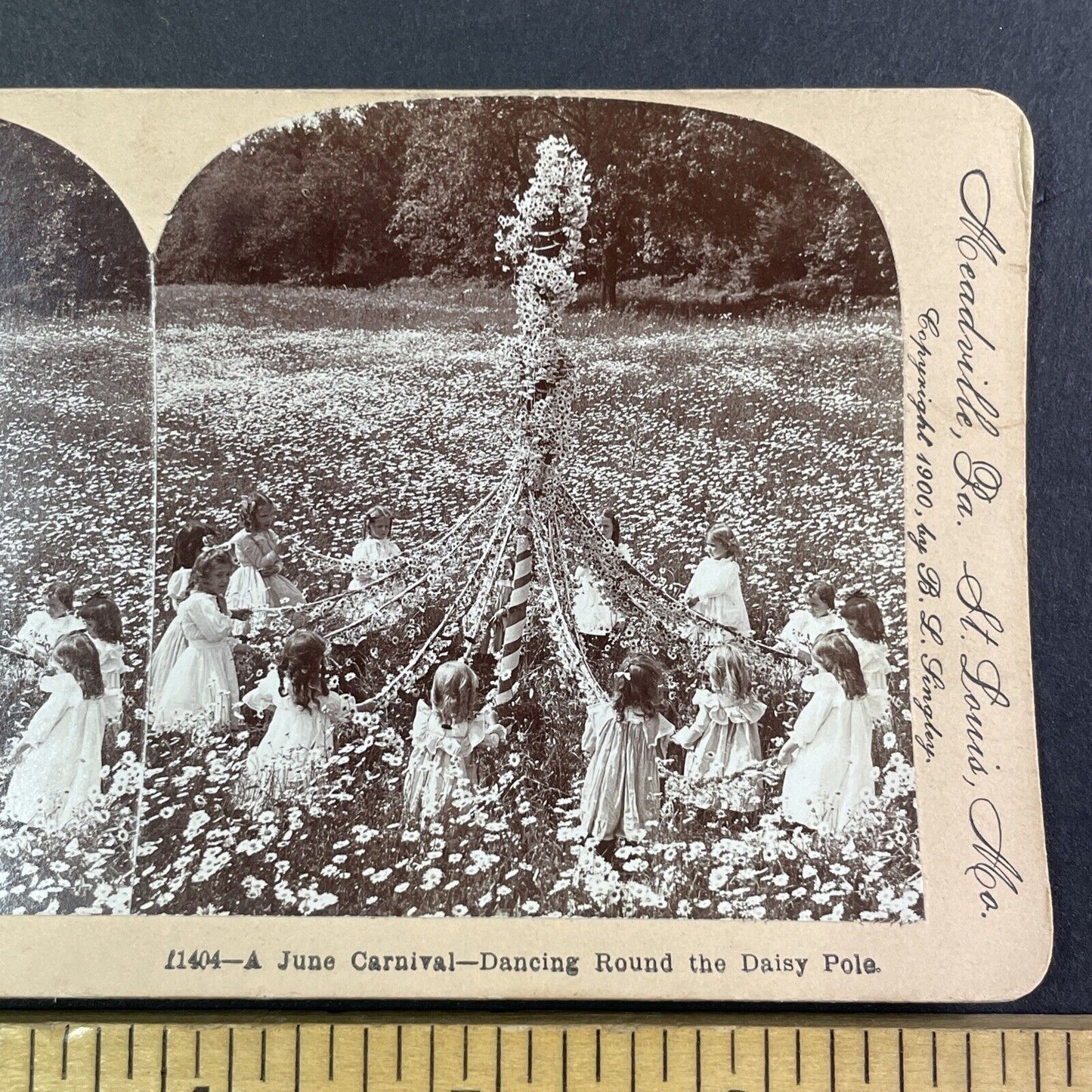 June Carnival Daisy Field Maypole Dance Stereoview Antique c1900 Y1371