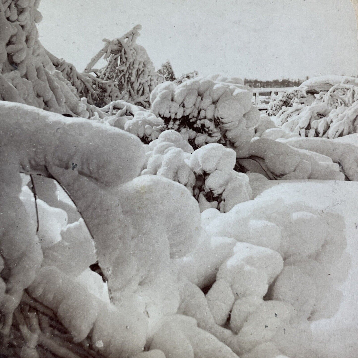 Frozen Island Forest Niagara Falls Stereoview Charles Bierstadt c1880 Y2478