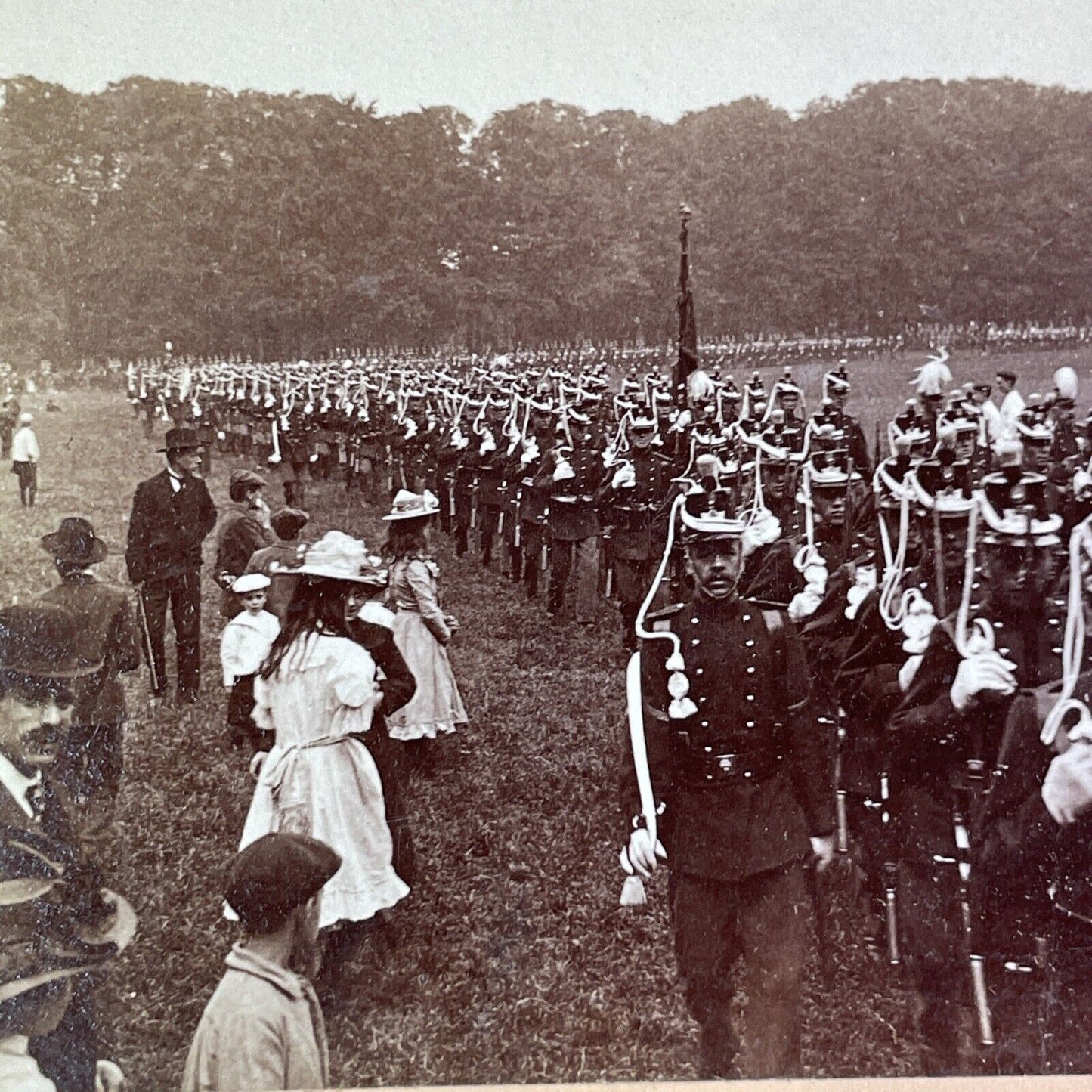 Dutch Royal Army Parade Stereoview The Netherlands Antique c1903 X3166