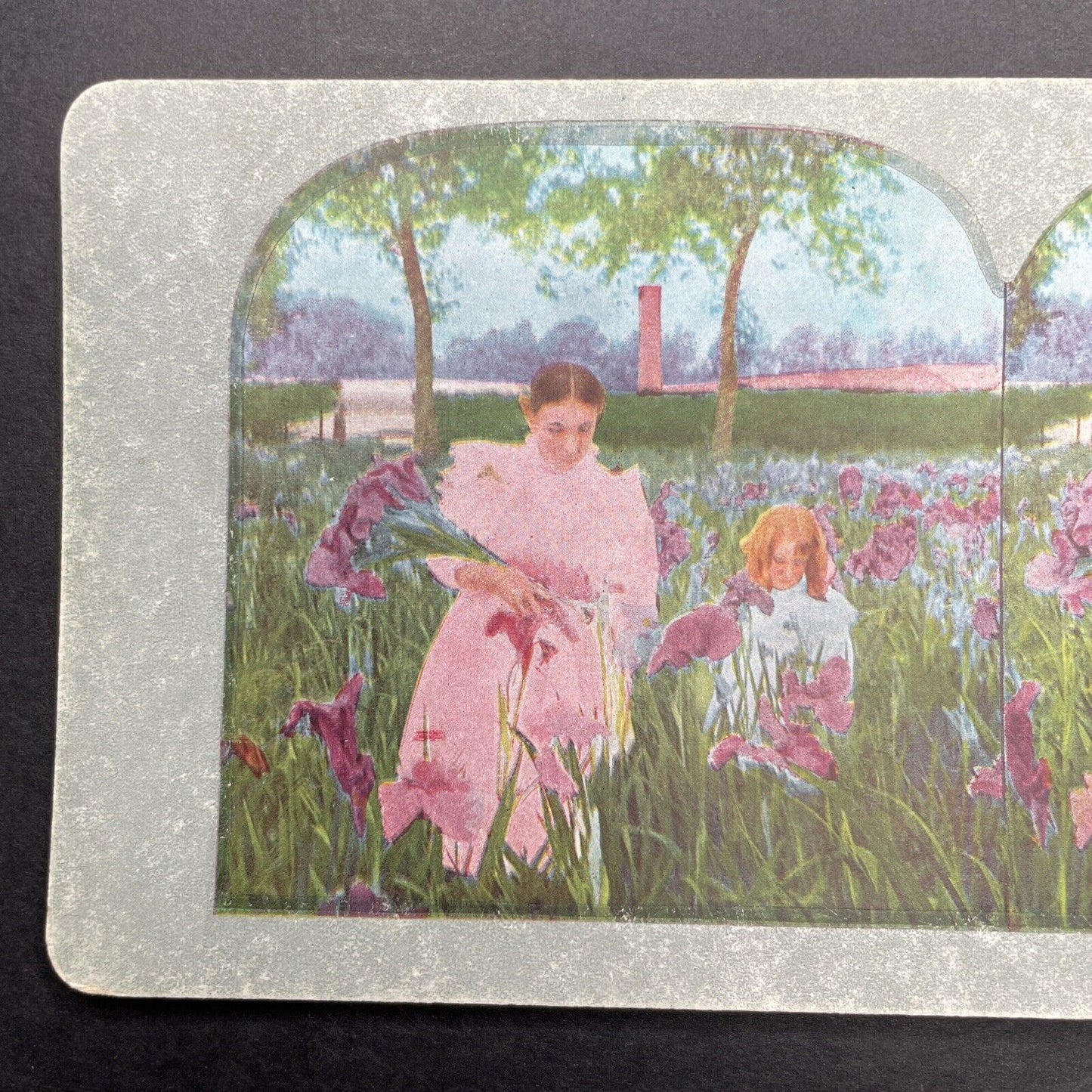 Antique 1898 Young Girls Picking Iris Flowers Stereoview Photo Card P580-047