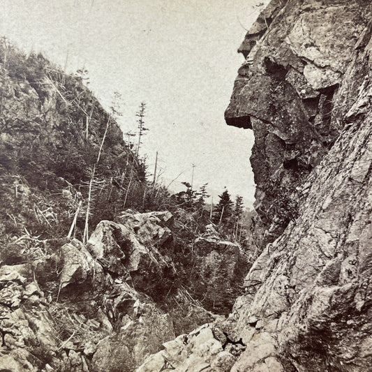 Antique 1870s New Logging Road Crawford Notch NH Stereoview Photo Card V1762