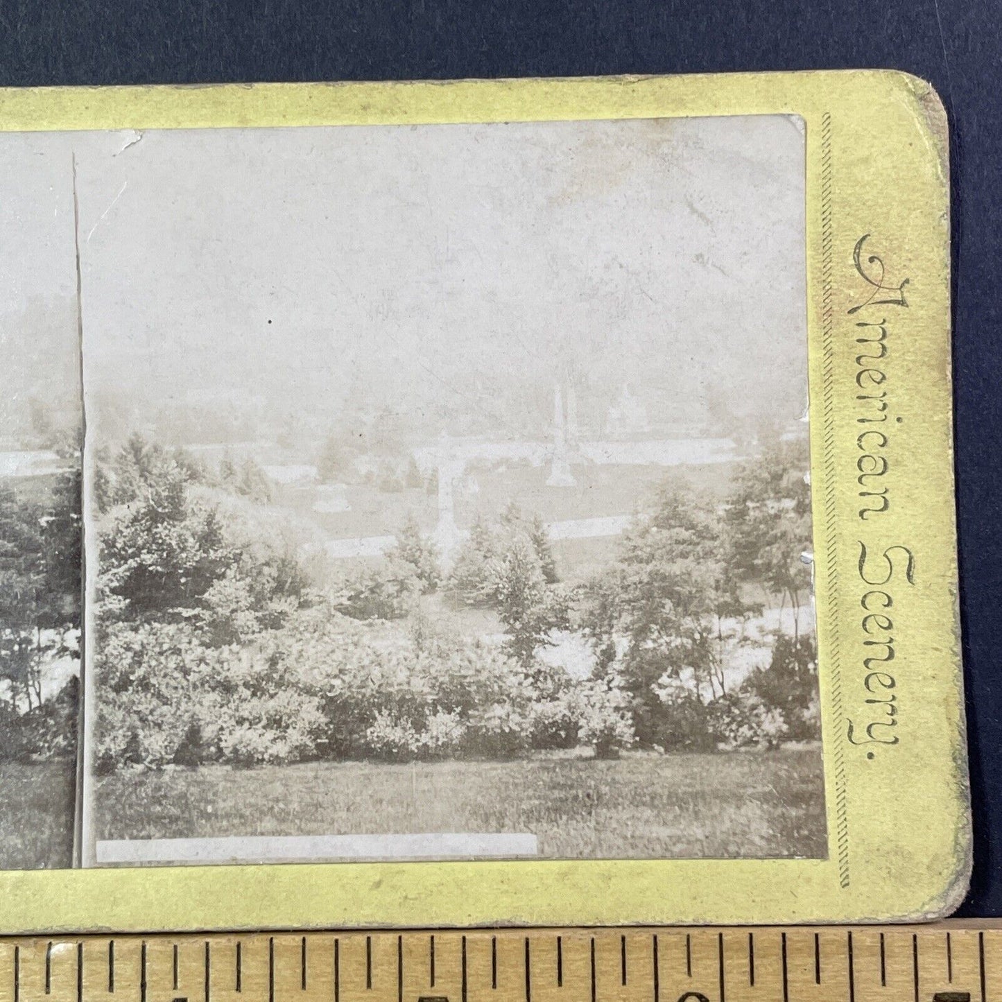 Spring Grove Cemetery? Cleveland Stereoview Photo Card Antique c1875 X1267