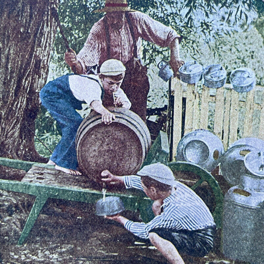 Antique 1910s Boys Get Caught Stealing Milk Stereoview Photo Card P2444