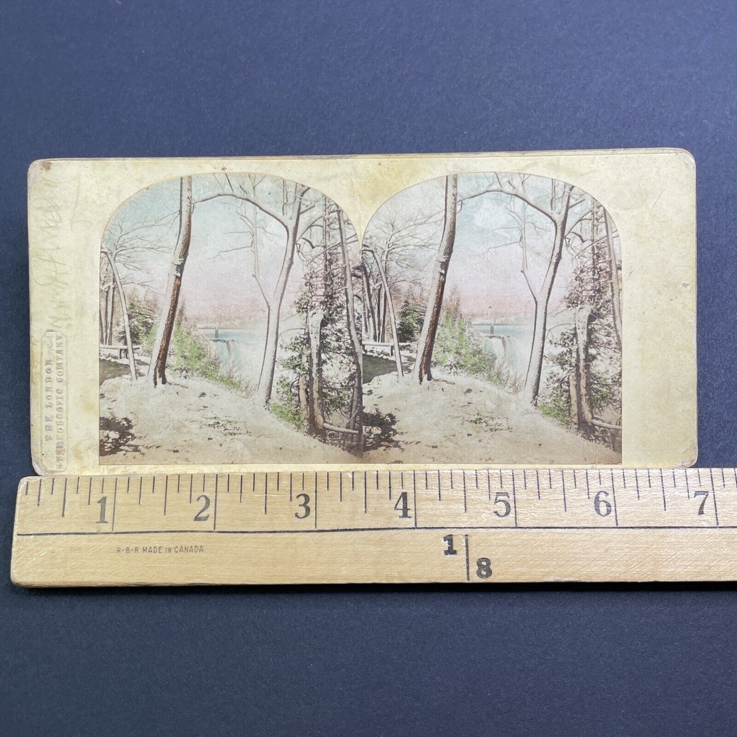 Antique c1859 Niagara Falls Gorge Trail New York Stereoview Photo Card V471