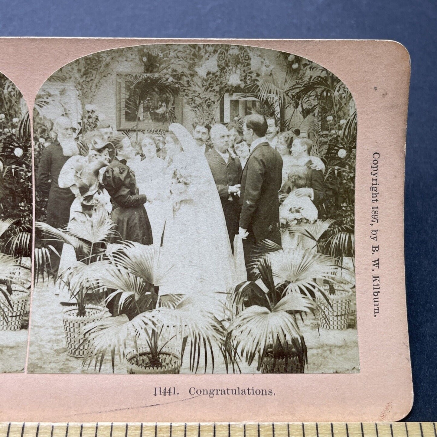 Antique 1897 Man And Woman Celebrate Wedding Stereoview Photo Card P2521