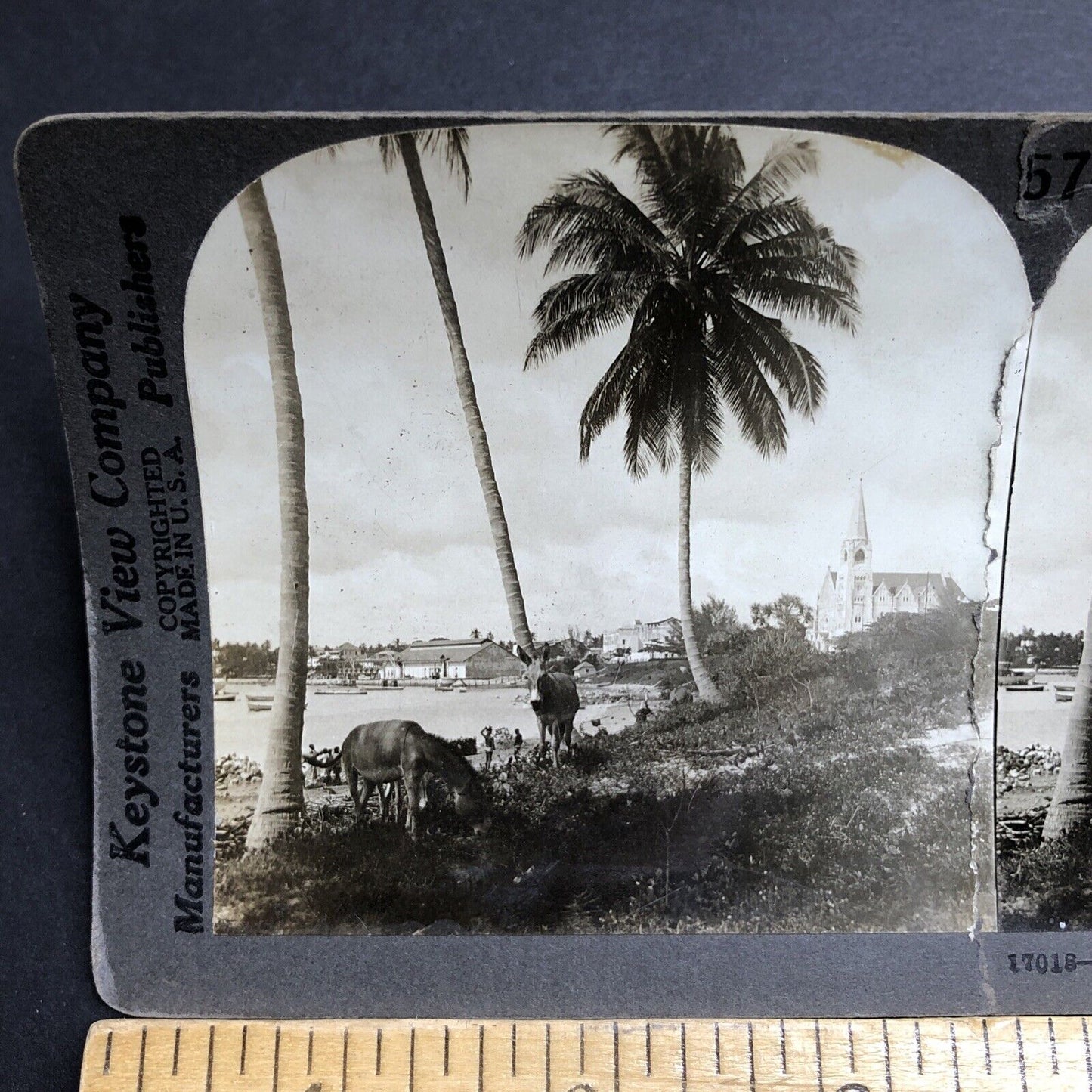 Antique 1910s City Of Dar Es Salaam Tanzania Stereoview Photo Card P2037