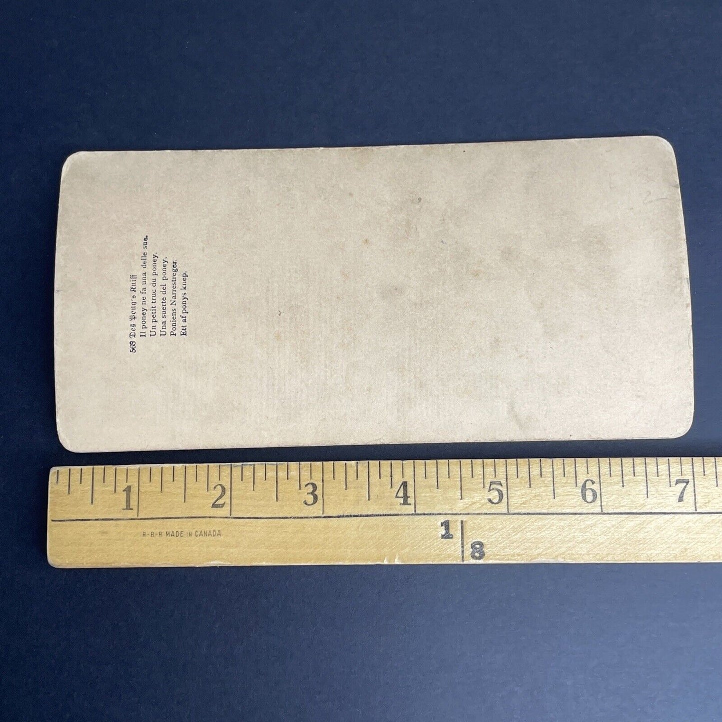 Antique 1894 Boy & Pony Dismount Trick  Stereoview Photo Card PC777