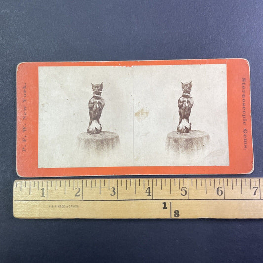 Small Dog Performs Trick Stereoview attributed Jerome Nelson Wilson c1870 Y1337