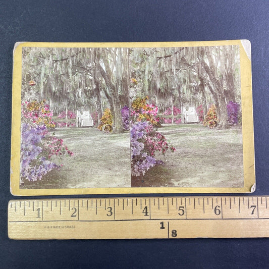 Gardens of John Grimke Drayton Stereoview Charleston South Carolina c1870 Y1326