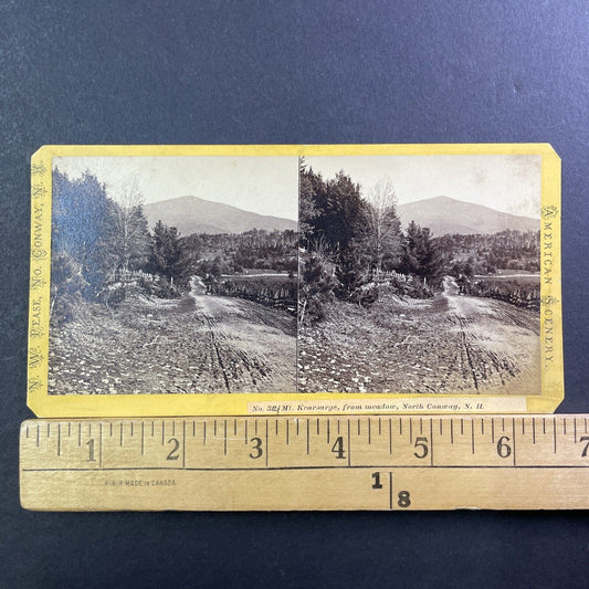 Road To Mount Kearsarge NH Stereoview NW Pease Photo Card Antique c1872 X988